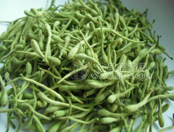 金银花茶
