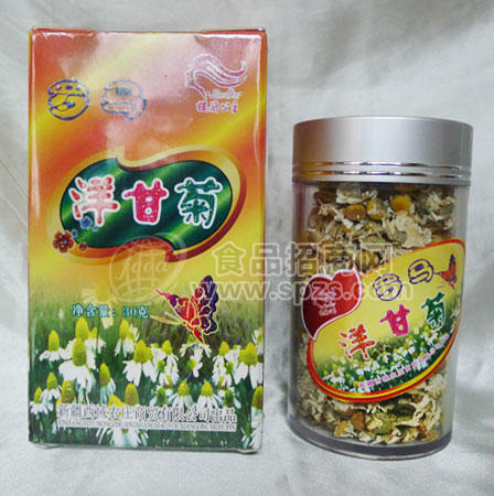 罗马洋甘菊