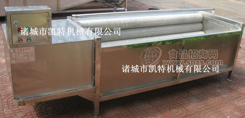 南瓜脱皮机 猕猴桃清洗机价格