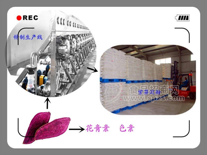 紫薯淀粉加工設備