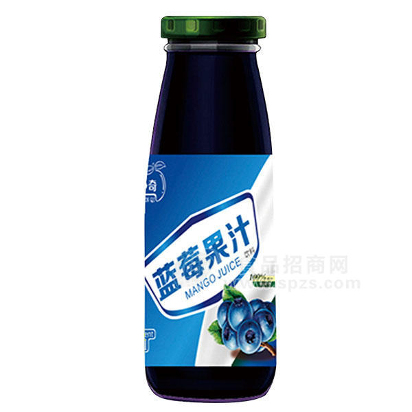 ·炫异争奇 蓝莓果汁饮料256ml 