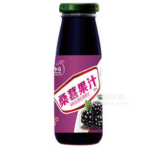 炫异争奇 桑葚果汁饮料256ml