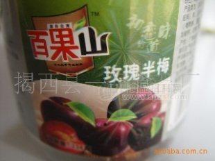 特色凉果蜜饯 话梅 橄榄 芒果 加应子 半梅