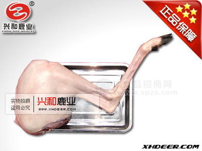 梅花鹿產(chǎn)品，鹿茸，鹿肉，梅花鹿養(yǎng)招商