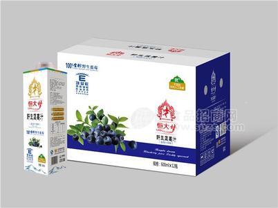 泰式蓝莓汁600×12效果图