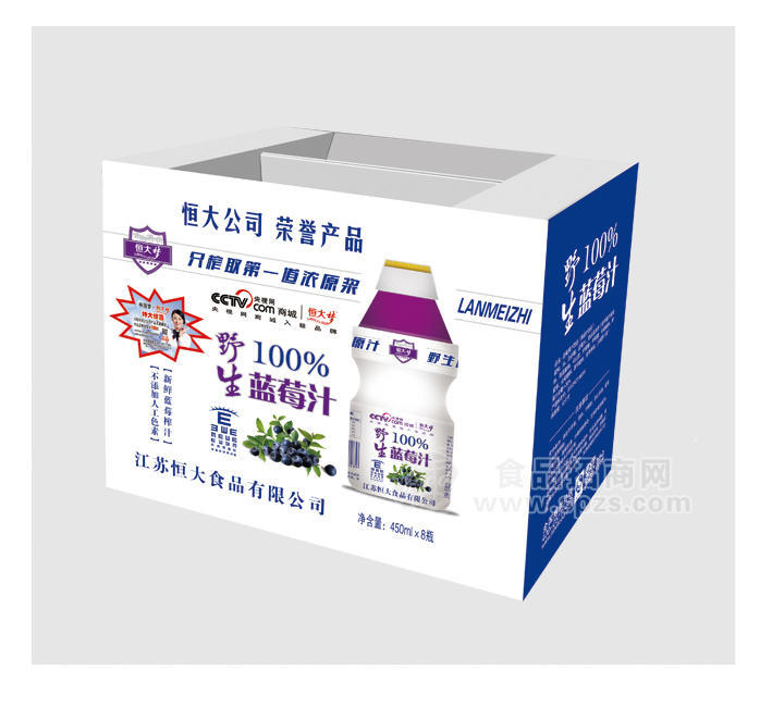 ·恒大梦野生蓝莓汁450ml×8副本 
