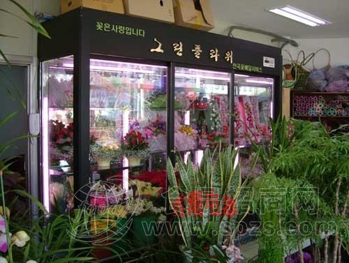 鲜花保鲜柜