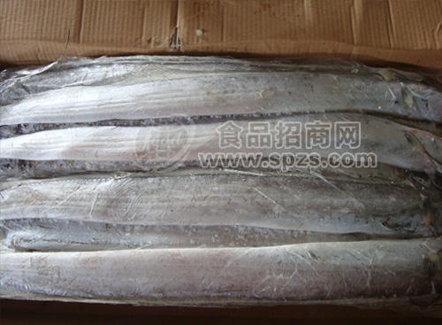 魷魚 帶魚 秋刀魚 魷魚嘴 無頭魷魚 魷魚片