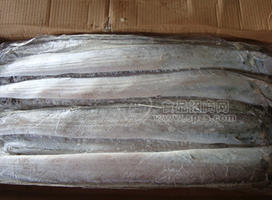 魷魚(yú)頭 魷魚(yú) 帶魚(yú) 秋刀魚(yú) 魷魚(yú)嘴