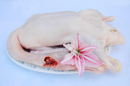 冷冻鸭内 鸭头 鸭翅 鸭脖 鸭边腿 鸭爪