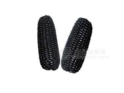 速冻散装黑玉米