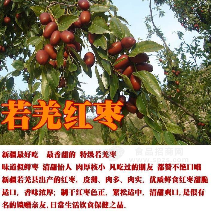 批发 新疆红枣 新疆大枣 若羌红枣 若羌灰枣