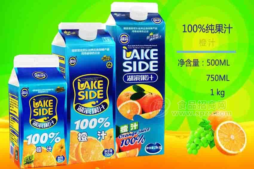 湖濱果汁飲品---100%純果汁橙汁