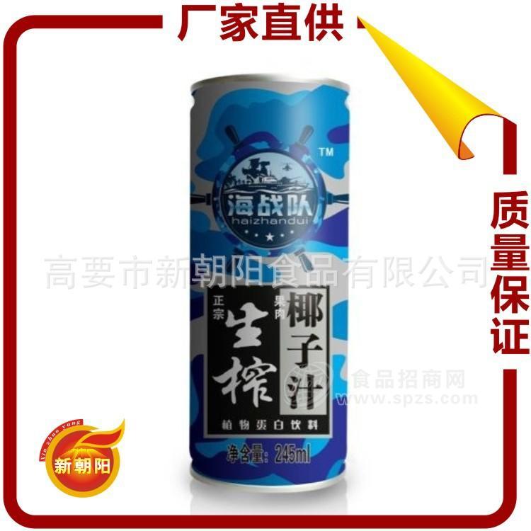 供應(yīng)新品牌椰汁