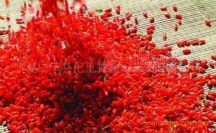 [香 杞] 2010年 枸杞贡果 新年礼品