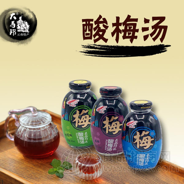 酸梅汤300mlx15瓶 酸梅汤饮料