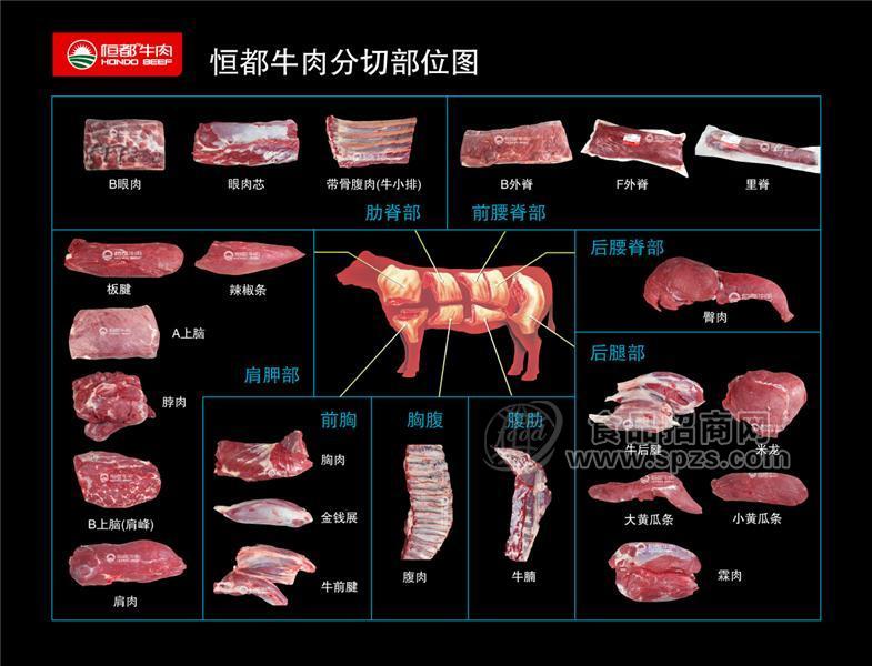 恒都牛肉