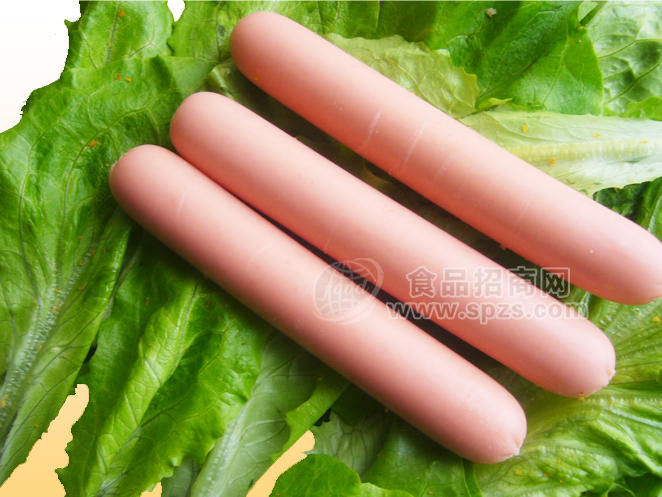 ·烧烤肠——郑州华姗食品 