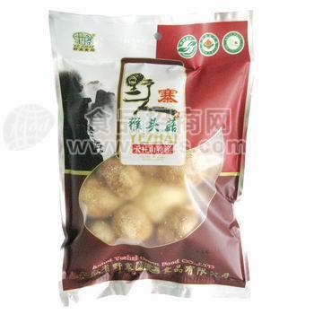 原生态食品 食用菌 猴头菇