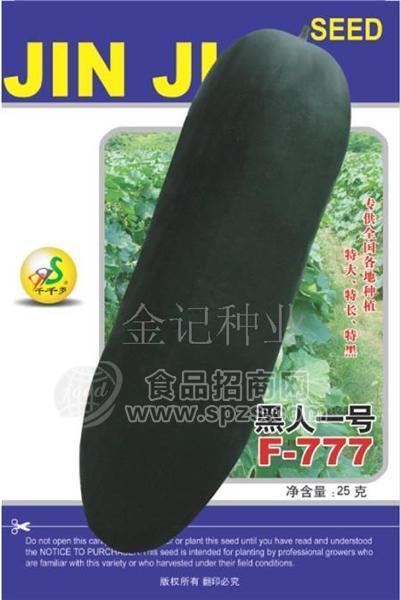 黑人一号黑皮冬瓜种子F-777