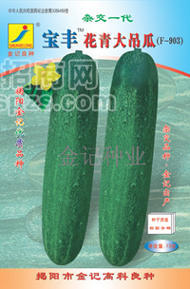 黄瓜种子：宝丰花青大吊瓜种子F-903