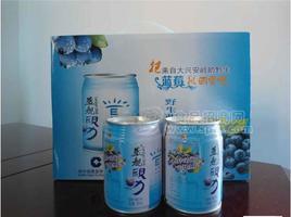 蓝莓汁与其他饮料品牌之间竞争状况分析