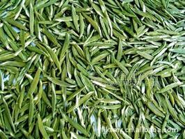福州绿茶 永泰有机茶