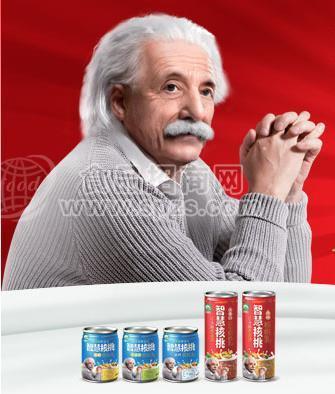 云南智慧仁核桃乳