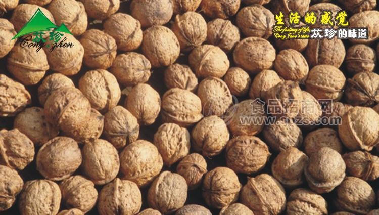 【四川特产】长寿果—核桃四川特产|四川特产批发|四川特产批发公司|四川特产