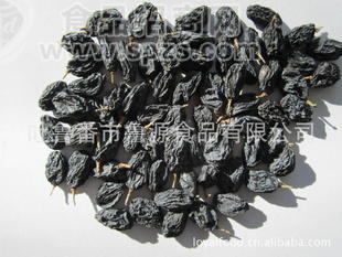 黑加仑 新疆黑加仑 葡萄干