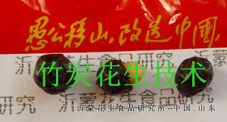 竹炭花生技术