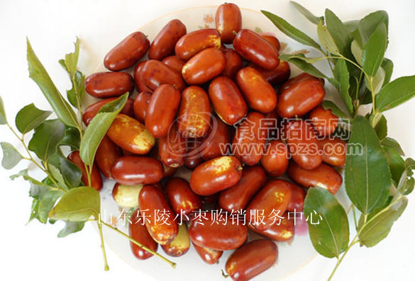 乐陵长红枣