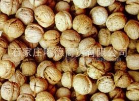 山核桃 优质核桃 厂家直销批发 欢迎采购核桃