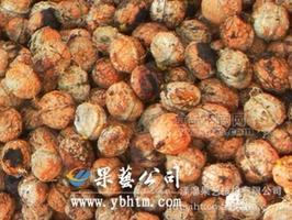 泡核桃坚果、干果，泡核桃生核桃。