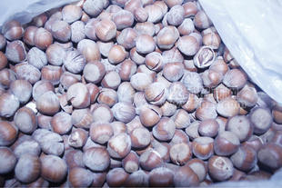 批发销售各种干果炒货类 高品质榛子 绿色食品