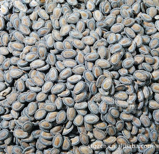 散装休闲食品 瓜子炒货 光板奶油味西瓜子厂家直供