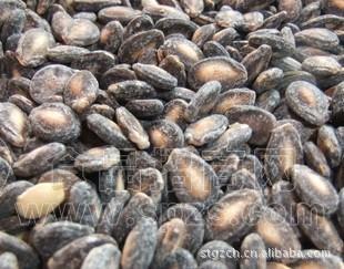 散装休闲食品 瓜子炒货 椒盐味西瓜籽厂家直供