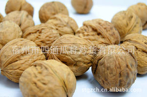 炒货新品上架  熟咸香味核桃  厂家直销