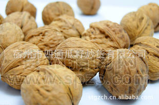 炒货新品上架  熟咸香味核桃  厂家直销