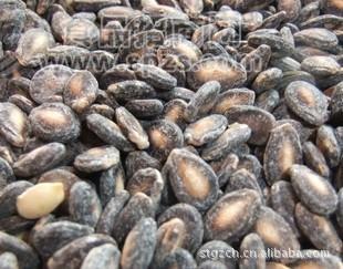 批发休闲食品 瓜子炒货 椒盐味西瓜籽 15斤装