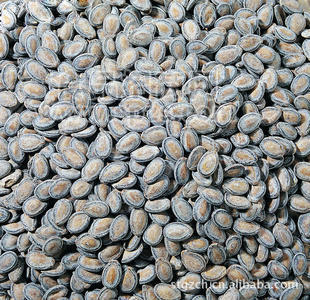 厂家直供休闲食品 瓜子炒货 光板奶油西瓜子 15斤装