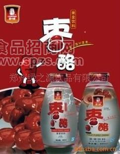 混批/代理加盟绿之源420ml枣酪能量饮料