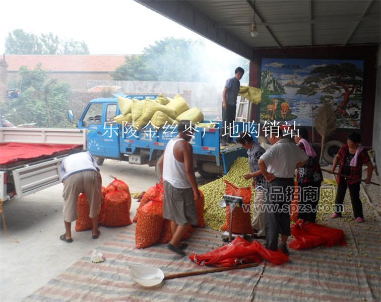 山东鲜枣批发价格