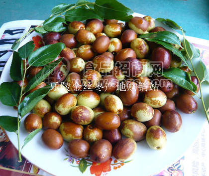 乐陵鲜小枣