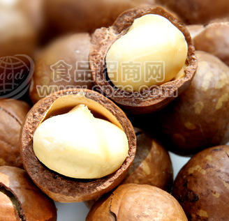 夏威夷果批发 兆吉牌南非夏威夷果 赠送开口器 满10包包邮