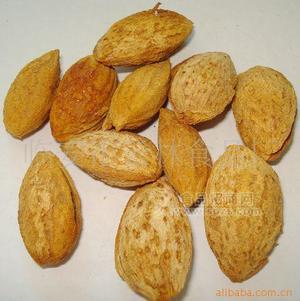 特产零食干果批发 杏仁批发 手剥巴旦木 薄皮带壳杏仁
