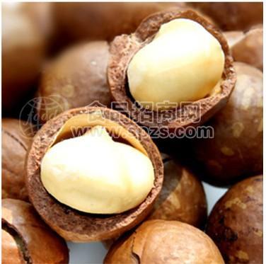 夏威夷果批发 兆吉牌特级南非奶香夏威夷果 一箱5KG