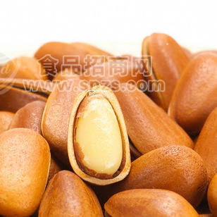 杭州临安 兆吉牌特级松子