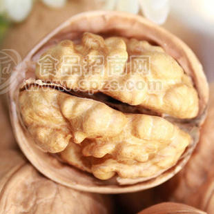 阿克苏新二薄壳生核桃