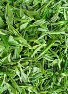 信阳毛尖红茶、绿茶